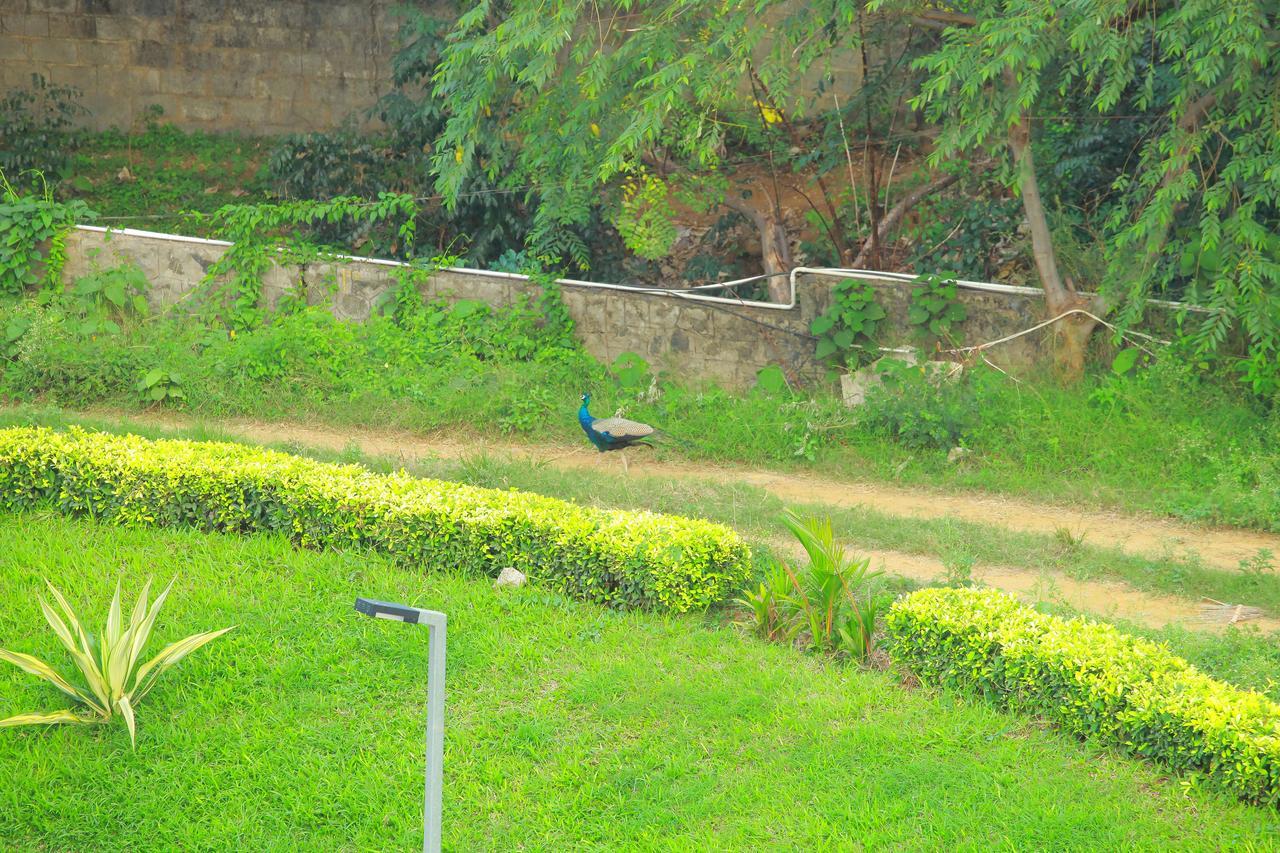 Five Falls Resort Kuttalam  Ngoại thất bức ảnh